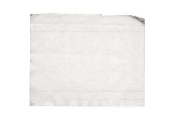 Paper piece isolated on background. Old sheet torn blank texture. Card board ripped template white with ragged edges.