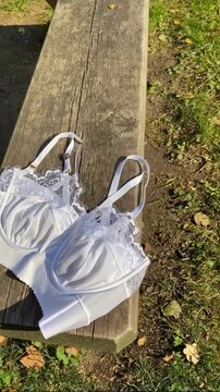 White Lace Bralette on a Park Bench: Embracing Body Positivity and Freedom in Nature's Embrace