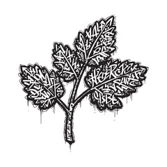 Herb graffiti style, leaves with abstract art, vector illustrati