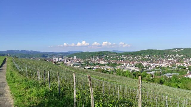 Vineyards overlooking the city of Loerrach, Germany. Wide panning shot.
