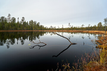 reflections in lake