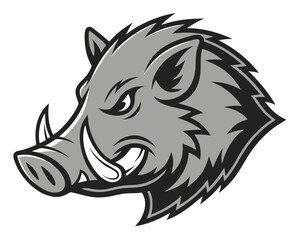 Obraz premium Monochrome Boar Head Illustration with Sharp Tusks and Aggressive Expression