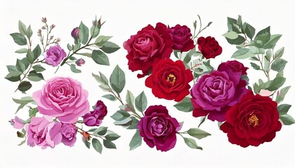Set of floral branch. Flower red, burgundy, purple rose, green leaves. Wedding concept with .jpg