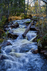 mountain river in the forest