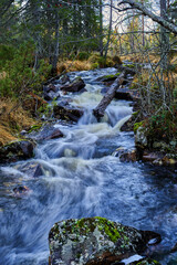 stream and waterfall in forest