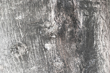 Dark gray wood texture or background and copy space