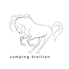 Jumping Stallion Line drawing.eps