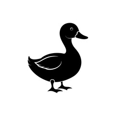 Obraz premium Swimming Duck Silhouette Design