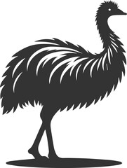 Fototapeta premium Wild bird silhouette of a emu vector drawing