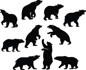 Powerful  Bears Standing on Rocky Terrain