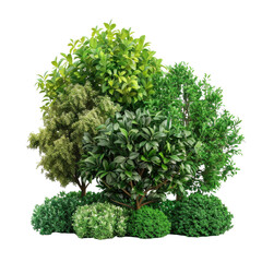 Obraz premium Collection of various lush green trees and bushes arranged in a natural setting on a transparent background
