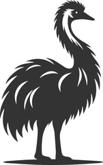 Fototapeta premium Wild bird silhouette of a emu vector drawing