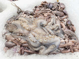 Close-up of freshly caught raw octopus displayed on ice at a seafood market.