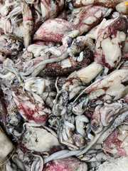 Close-up of a pile of raw squid displayed on ice at a seafood market.