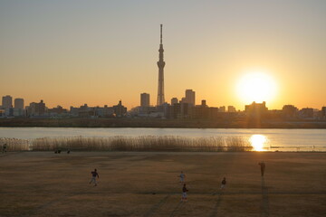 夕方の荒川河川敷
