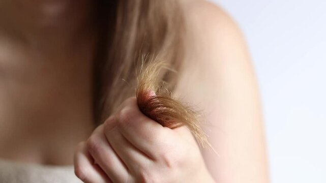 Dry hair ends. Girl examines her hair, close-up. Woman holds a lock of hair with dry, split ends in her hand. Hair care concept. Beauty and health. Hair care problems, vitamin deficiency