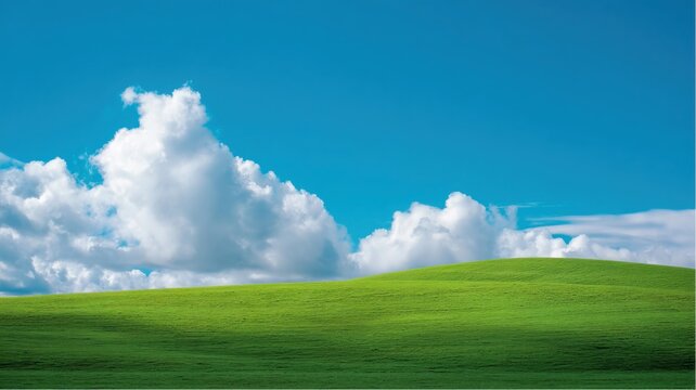 Green grassy field with a bright blue sky and white fluffy clouds during daylight