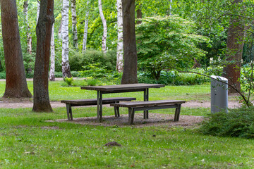 Picnic bench in the park. A wooden picnic bench stands peacefully in a green park between tall trees. The scene invites you to linger.