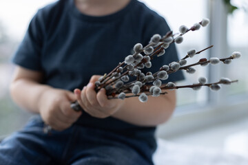 Little child holding the pussy willow twigs. Palm Sunday concept. Selective focus. © Vitalina