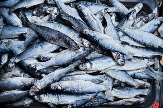 fresh herring fish for sale at the market, Chinatown, Manhattan, New York City