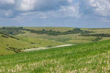 Obraz premium A view over a green South Downs farm landscape, on a sunny spring day