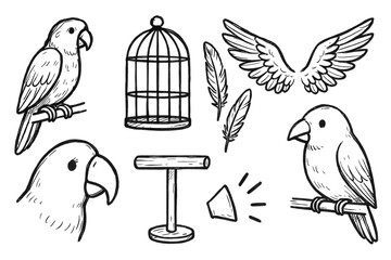 Naklejka premium Bird Sketch Icons