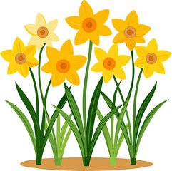 yellow daffodils in a pot