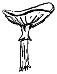 Doodle elements of vegetable and fruits, specifically a Mushroom