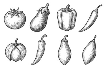 Vegetable Sketch Icons