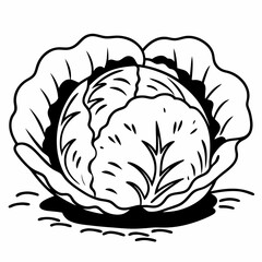 Obraz premium Vector sketch of a cabbage flower illustration with a floral leaf design isolated on a white background