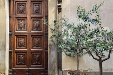 elegant ornate wooden door beside potted olive trees against a rustic wall. Italian traditional architecture. Florence old town