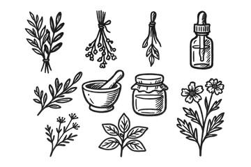 Herbal Icon Set