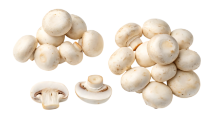 Fresh white button mushrooms isolated on transparent background