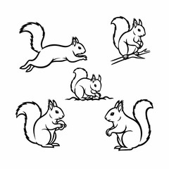 vector set of funny animals