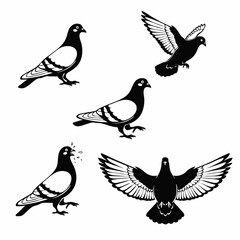 birds on a branch