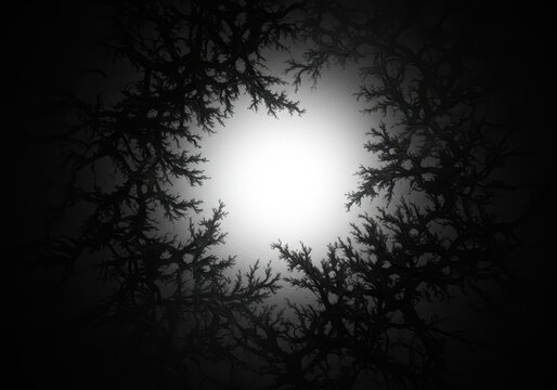 Abstract black and white fractal pattern with central light, creating a circular frame