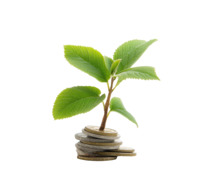 Plant growing from coins representing financial growth and investment on a transparent background, cut out - Powered by Adobe