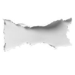 Obraz premium Torn white paper sheet isolated