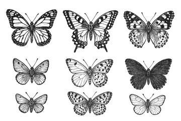 Hand-Drawn Butterfly Icons