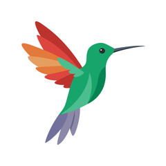 Fototapeta premium Colorful hummingbird vector illustration in flight with vibrant wings and simple design