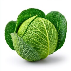 Fototapeta premium Vibrant Green Savoy Cabbage on White Background