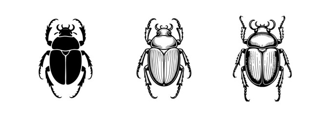 Fototapeta premium set of beetle scarab insect vector illustrations, entomology and ancient egypt symbolism
