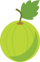 Gooseberry Vector Art on White Background.