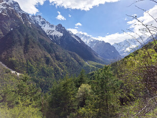 Fototapeta premium Majestic mountain landscape with greenery and blue sky on a sunny day 
