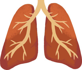 Illustration of Human Lungs