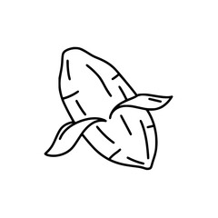 Fototapeta premium Hand-Drawn Illustration of a Sweet Potato with Leaves