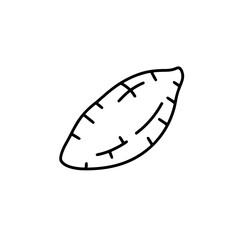 Simple Line Drawing of a Sweet Potato A Clean Vector Illustration