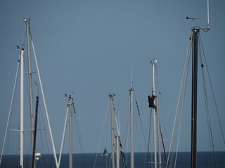 Auf dem Mast