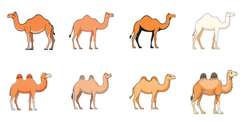 Obraz premium Vector illustration of multiple camels, outline 