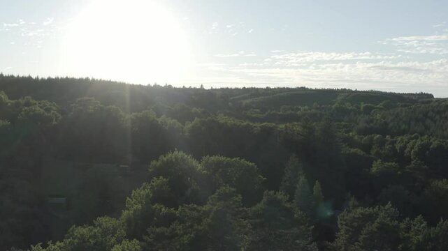 Aerial view flying over dense forest canopy towards bright sun and hazy sky, Marcillac La Croisille, France